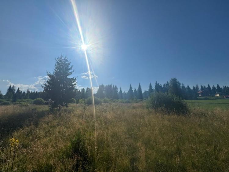 12700 mp investitie rezidentiala- turistica- medicala Tinovul Mic/Șaru Dornei - 13