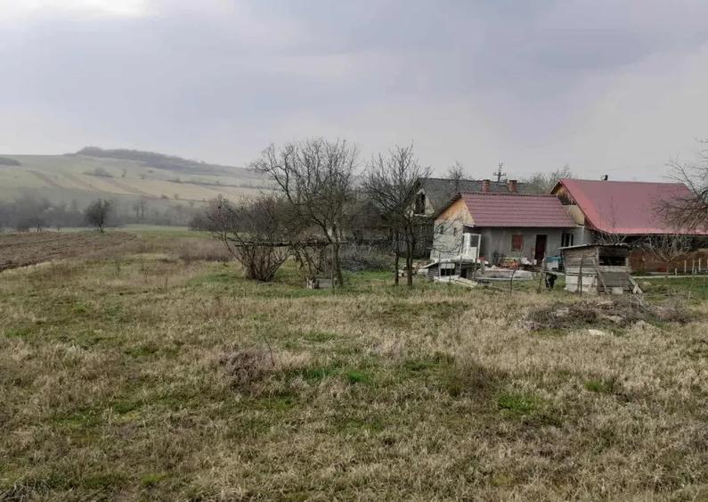 Asuaju de Sus, casa , 40 ari teren - 3