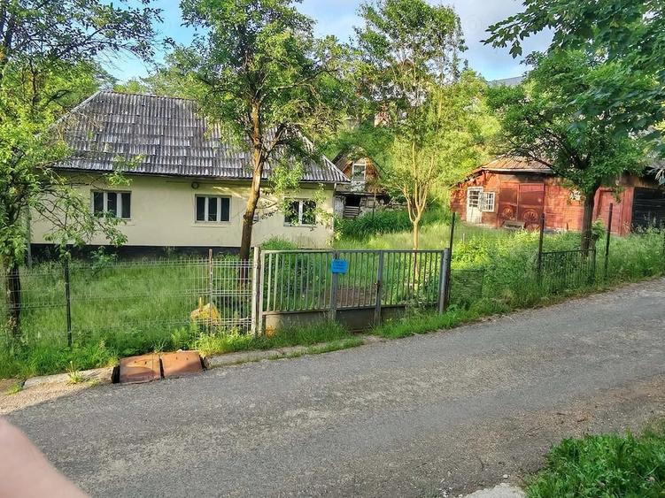 Teren intravilan si gospodarie batraneasca in Cavnic - 4