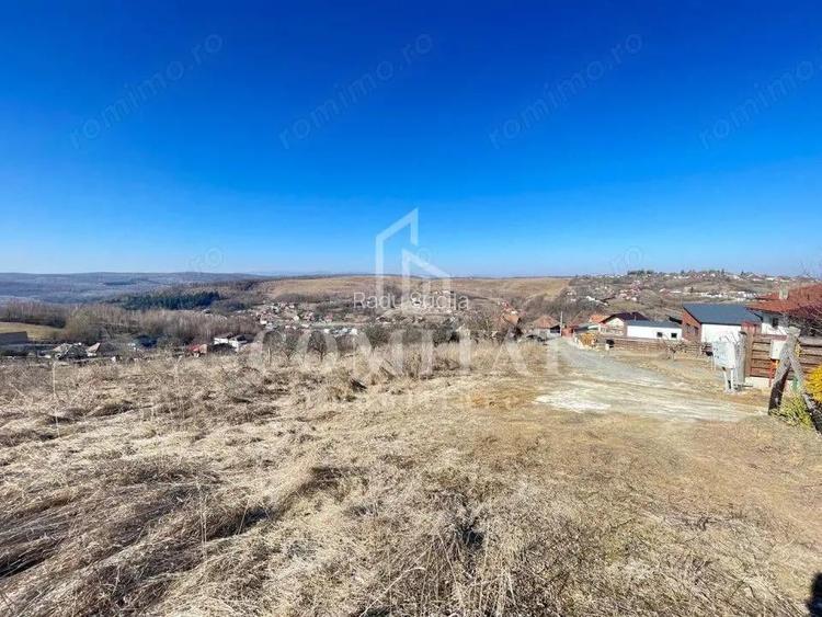 Teren cu potential de investitie 2430 mp si drum de acces