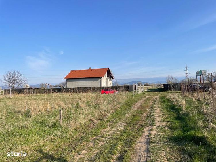 Teren intravilan de vanzare - Harman - 1000 mp - 9