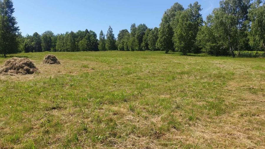 2 Terenuri extravilane Banita - 2