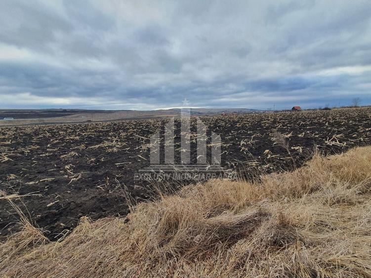 Teren extravilan | De vanzare | 1300 mp | 25 ml deschidere | Ciugud - 3