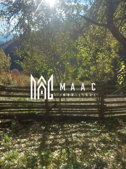 Super ofertă 35000 teren in Muntii Apuseni - 16