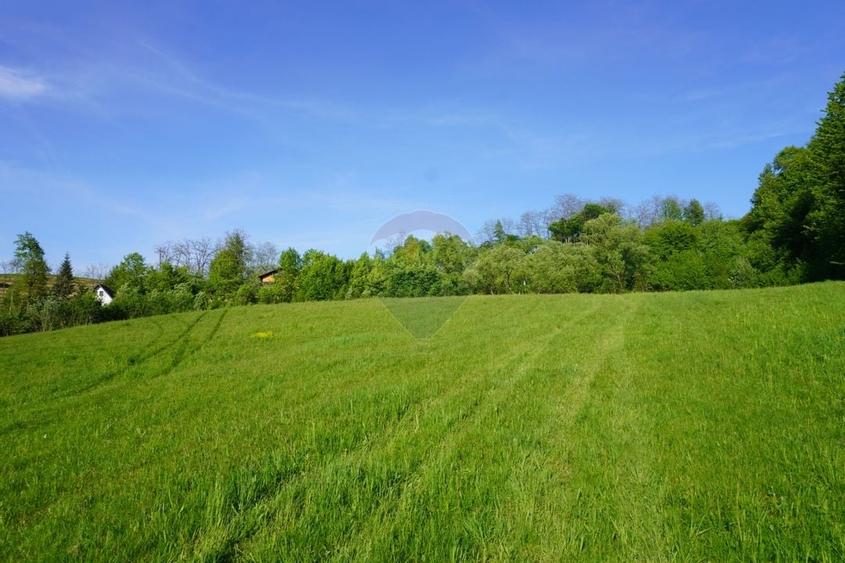 Teren 33,137mp Sighetu Marmatiei / Strada Mocanitei - 9