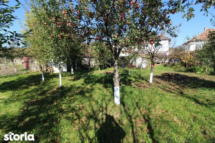 Vand casa P+E+Pod in Ha?eg, teren 700 mp, garaj, filigorie... - 1