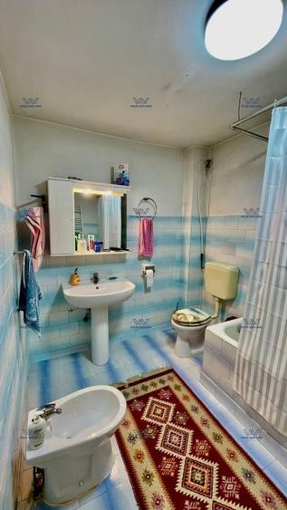 Proprietate Exceptionala cu Potential Dublu in Valea Ursului, Arges - 15