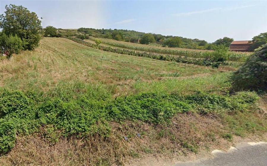 Teren Intravilan langa Dunare!  Disponibil la 15 Euro mp - 4