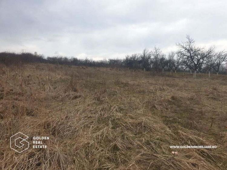 Teren intravilan 3841 mp, situat central, Covasint - 2