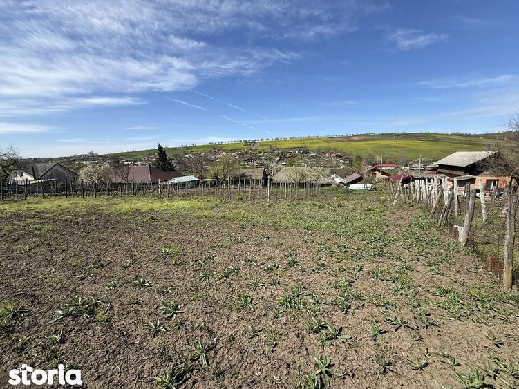 Teren 3550mp, 10km de Iasi, casa - 7