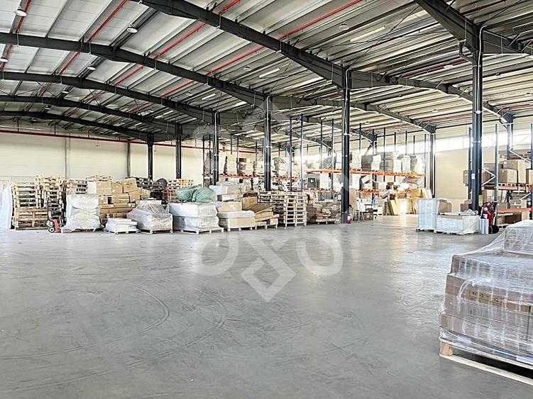 Hala noua de vanzare in Parcul Industrial I, zona Borsului - 2