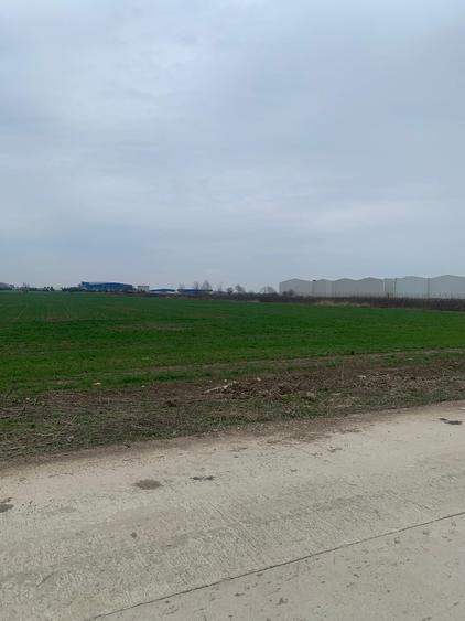 Afumati DJ 200 Teren extravilan - 4