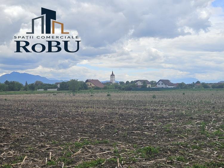 14 loturi de vanzare in HARMAN # Spatii comerciale RoBU - 4