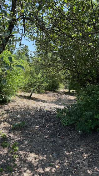 Casa de vanzare la ?ara locuin?a pregatita pentru mutare imediata! - 1