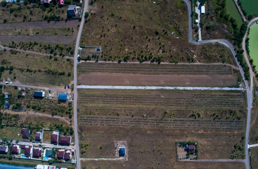 Vanzare teren cu UTILITATI in Branesti langa LAC si PADURE - str Lotusului - 3