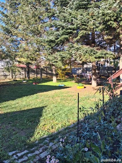 Snagov, central, 3 camere cu teresa 40 mp - 5