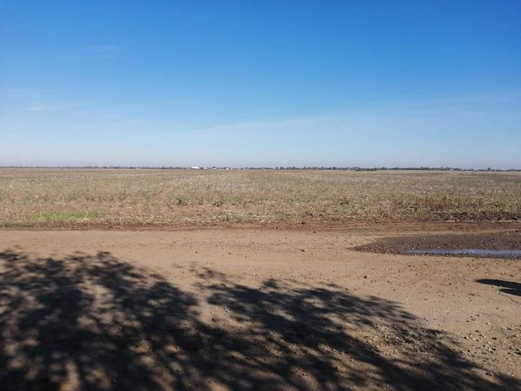 Teren Adunatii Copaceni - 1