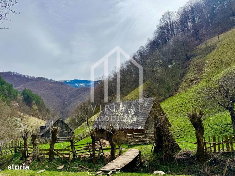 Teren intravilan + faneata, ideal pentru investitie - Rau Sadului - 13