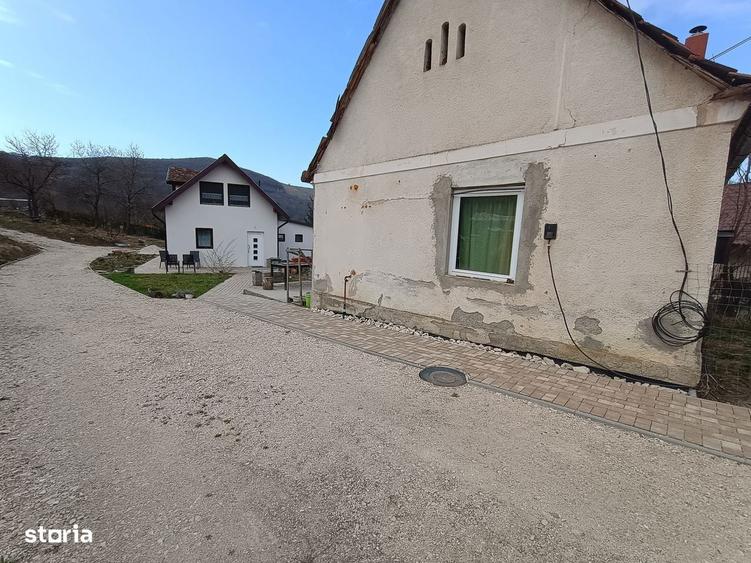 2 case pe curte / posibila investitie - 11