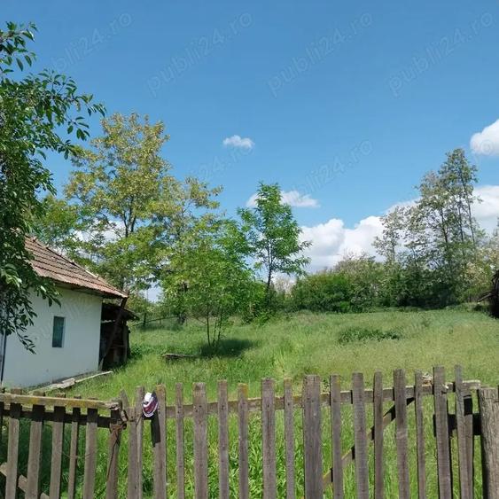 Vand casa batraneasc - 5
