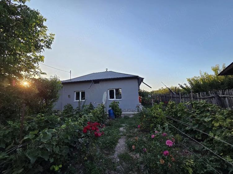 Casă cu Teren 1850 Mp în Mitreni