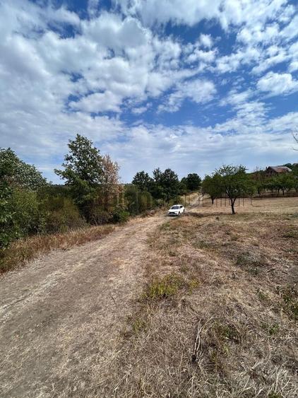 Teren agricol intravilan de 4316 mp, în Săldăbagiu de Munte