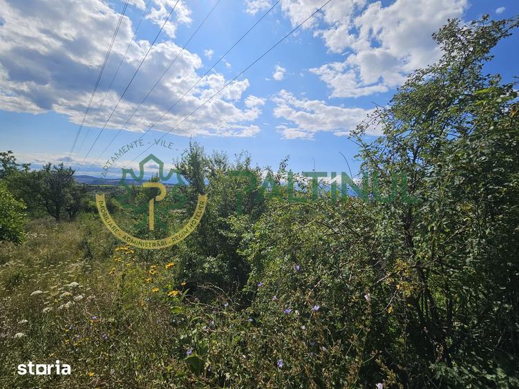 Teren de 2134 mp, în Câineni