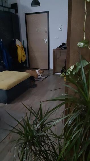 Apartament cu 2 camere decomandat în Prelungirea Ghencea