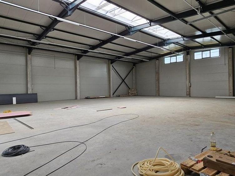 Pantelimon DN3 hala 600 mp - 2