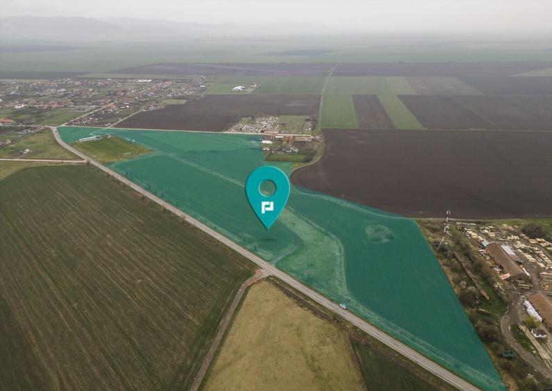 Teren 76.000mp intre Santana ?i Caporal Alexa - 5