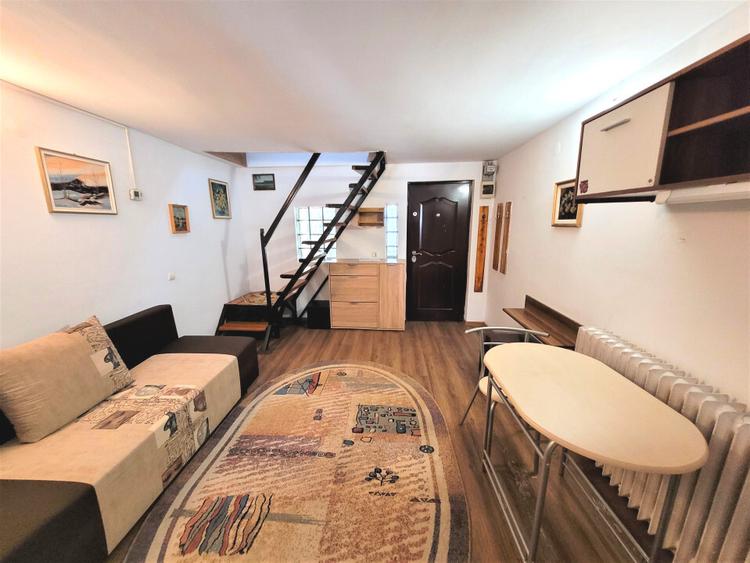 Casa pet friendly in Plopilor - 3