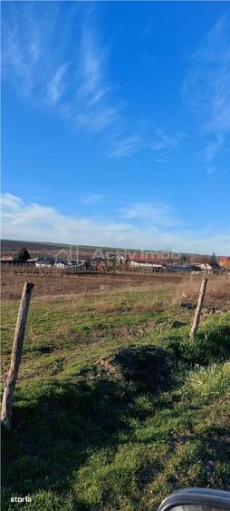 Teren TOP 1400mp 18ml stradal Vanatori (Odaia Manolache) - 3