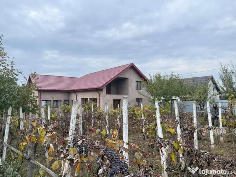 CASA P+M , 150 mp, TEREN 3000 MP ,FILIASI( FRATOSTITA) , COM - 3