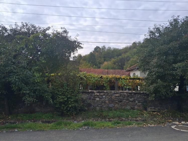 Casă tradițională cu teren generos – Borosteni, Peștișani, jud. Gorj - 3