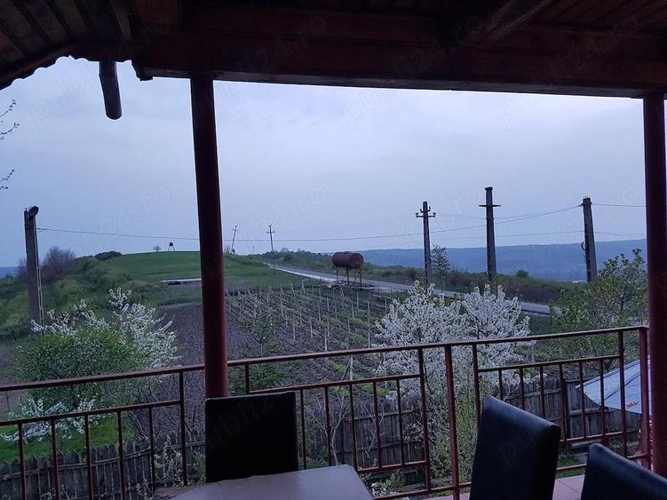 Domeniu Turistic & Viticol Pensiune - 7