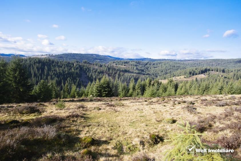 Se vinde teren cat un munte in Apuseni - Poiana Horea - 4