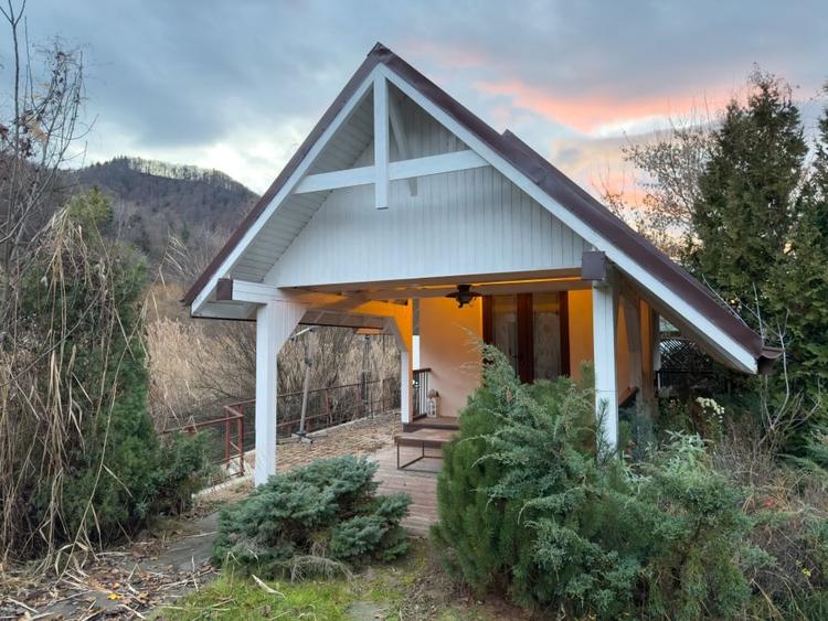 Domeniu privat cu iazuri in apropiere de Piatra Neamt - 9