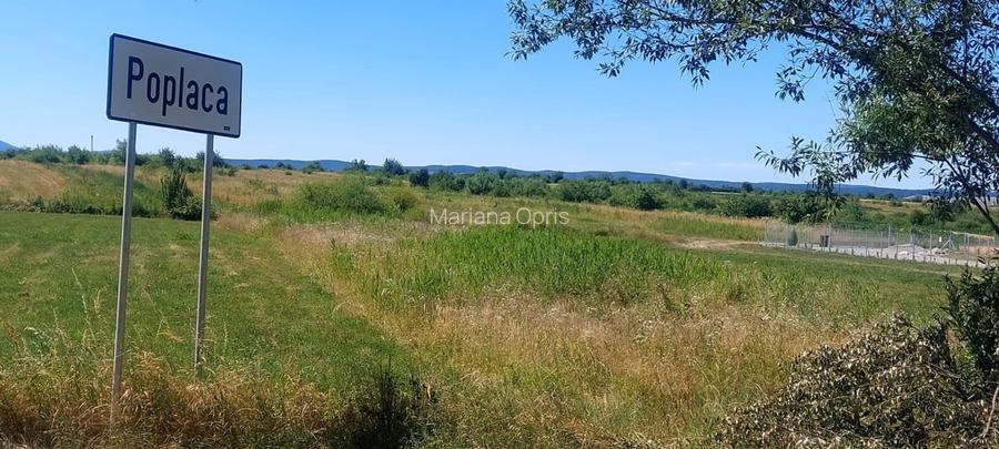 Teren oportunitate investitie 1900mp,intrare in Poplaca