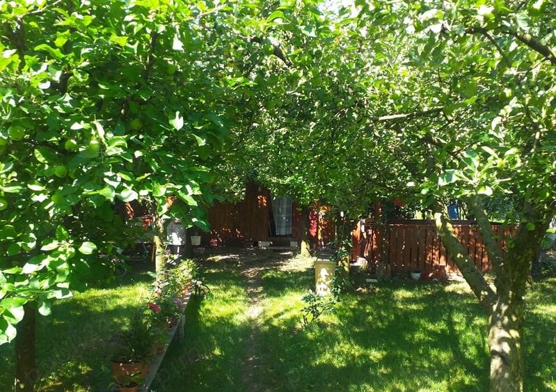 Teren Intravilan Vanzare 1400 mp. Alba Micesti deschidere 16m. Toate Utilitatile - 5