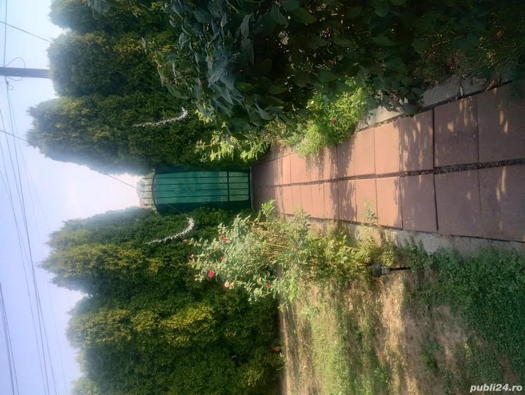 casa de vinzare - 8