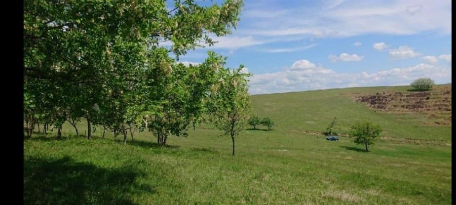 Reco  Teren extravilan Tileagd - 3