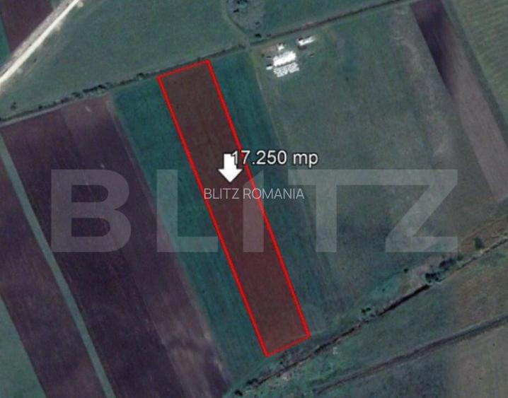 Teren de 17250 mp, Stupini