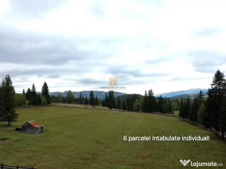 Teren 2804 mp, la munte! In Bucovina Fundu Moldovei! - 8