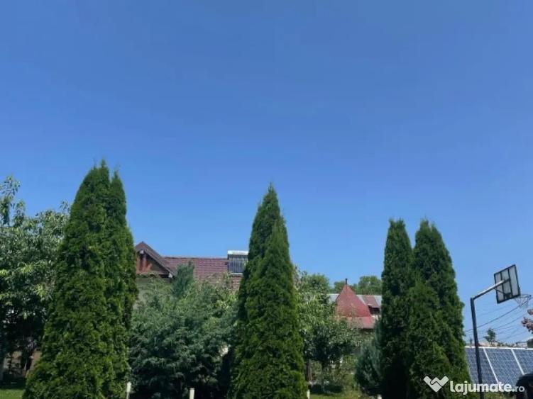 Vand vila baicoi - 4