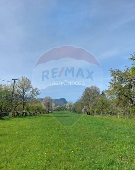 Teren in cea mai turistica localitate din Romania - Breb... Teren in cea mai turistica localitate din Romania - Breb...