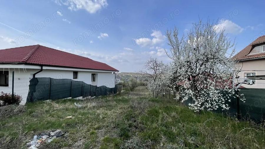 TEREN INTRAVILAN 1080MP STR.RASPANTIILOR / COLINELOR - 1