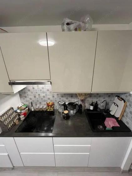 Apartament cu 1 camera de inchiriat in zona Buziasului - 3