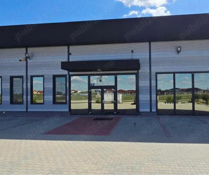 Teren cu hala noua de vanzare, parc logistic Salonta Bihor - 10