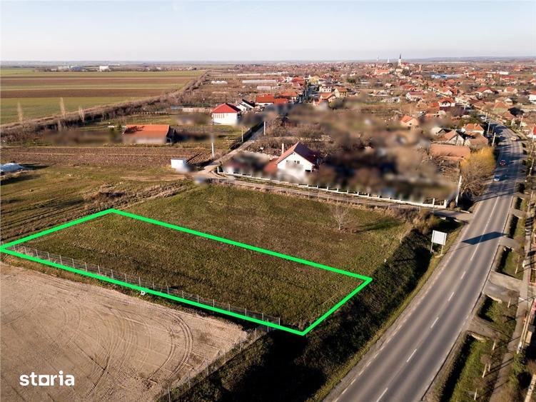 Teren de 1000 mp, în Biharia