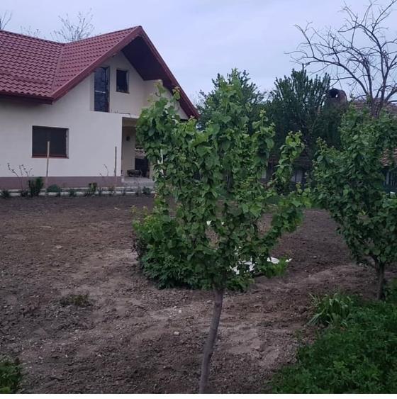 Vanzare casa vacanta - 1